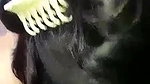 Beauty Wife Loves giving blowjob