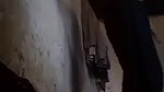 beautiful girl nude video