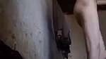 beautiful girl nude video