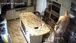 sex after bj cctv