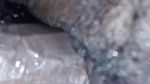 VID 20260412 WA0037