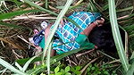 VID 20260409 WA0019