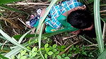 VID 20260409 WA0019