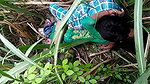 VID 20260409 WA0019