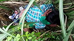 VID 20260409 WA0019