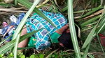 VID 20260409 WA0019