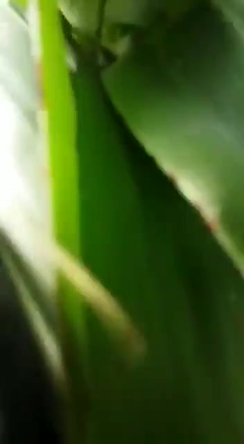 Frame 10
