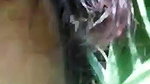 VID 20260409 WA0010