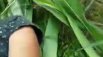 VID 20260409 WA0010