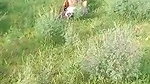 VID 20260409 WA0018