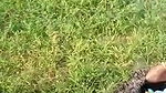 VID 20260409 WA0018
