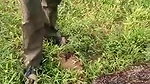 VID 20260409 WA0018