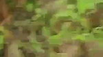 VID 20260102 WA0002