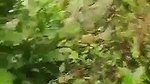 VID 20260102 WA0002