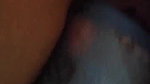 VID 20251211 WA0059