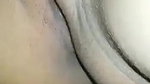 VID 20251204 WA0011