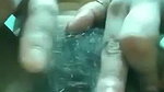 VID 20251128 WA0023