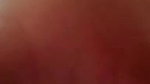 VID 20251126 WA0024
