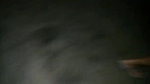 VID 20251123 WA0089