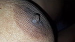Horney Sonu60412155942