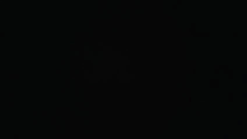 VID 20260403 120525 006