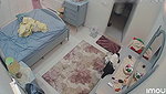 VID 21531841