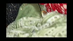 Slowly fucking slow motion