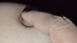 hairy pussy fingering