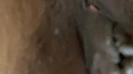 creampied girl pussy