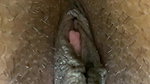 creampied girl pussy