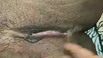 Bhabhi and Step Brother Mature Mature53210