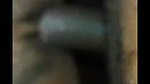 Screenrecorder of sexy wife fucking