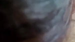 Cute Indian Bhabhi Sucking CockS