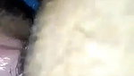 hairy pussy licking