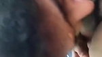 Tamil wife blowjob