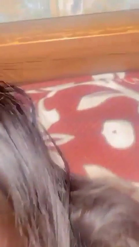 Fucked in missionary