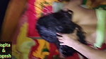 Village sister-in-law Yogita enjoys doggy style sex with her husband