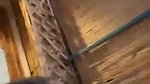 1775037600262