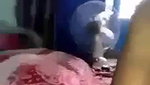 horny Girl riding cock