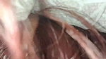 Sexy Nepali Babe Giving Blowjob Fucking pt 2