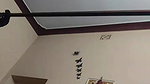 bhabhi changing clothes vira videos uploaded online