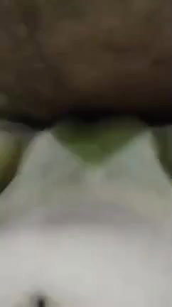 VID 20251212 155248 700