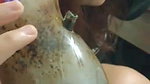 IMG02