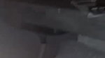 IMG03