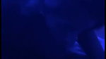 Sexy Horny Telugu Girl Sucking Dick