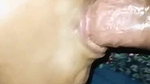 hot wife desi anal sex after viral blowjob to hubby
