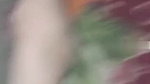 shy Rajasthani bhabhi sex hairy pussy viral nude