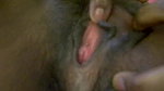 Horny Indian girl pussy fingering