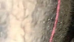 Dehati Indian wife blowjob MMS