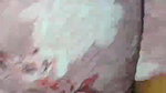 Newly Married Hot Bhabhi Tried to Take Dick in Her